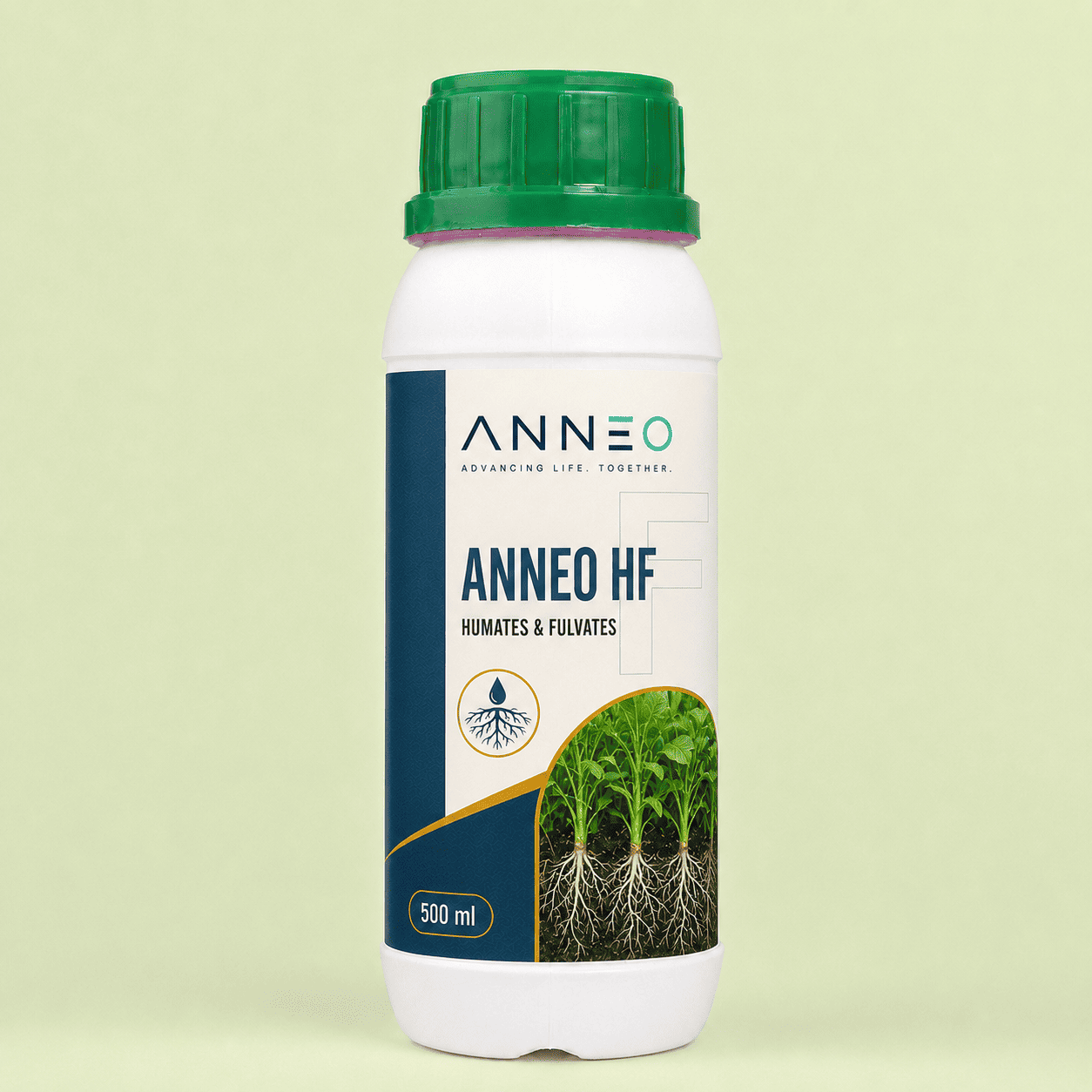 Anneo HF